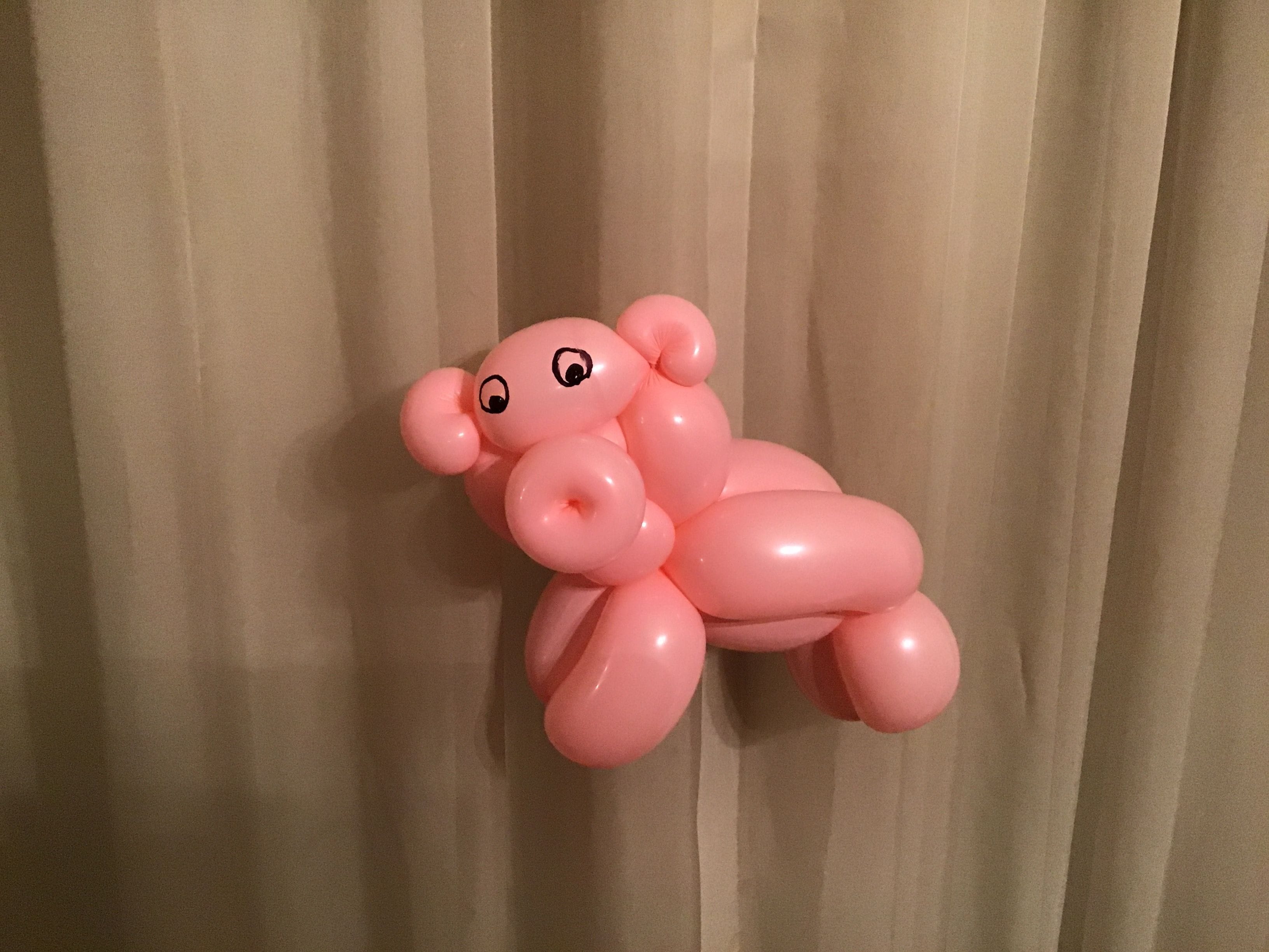 balloon animal pig