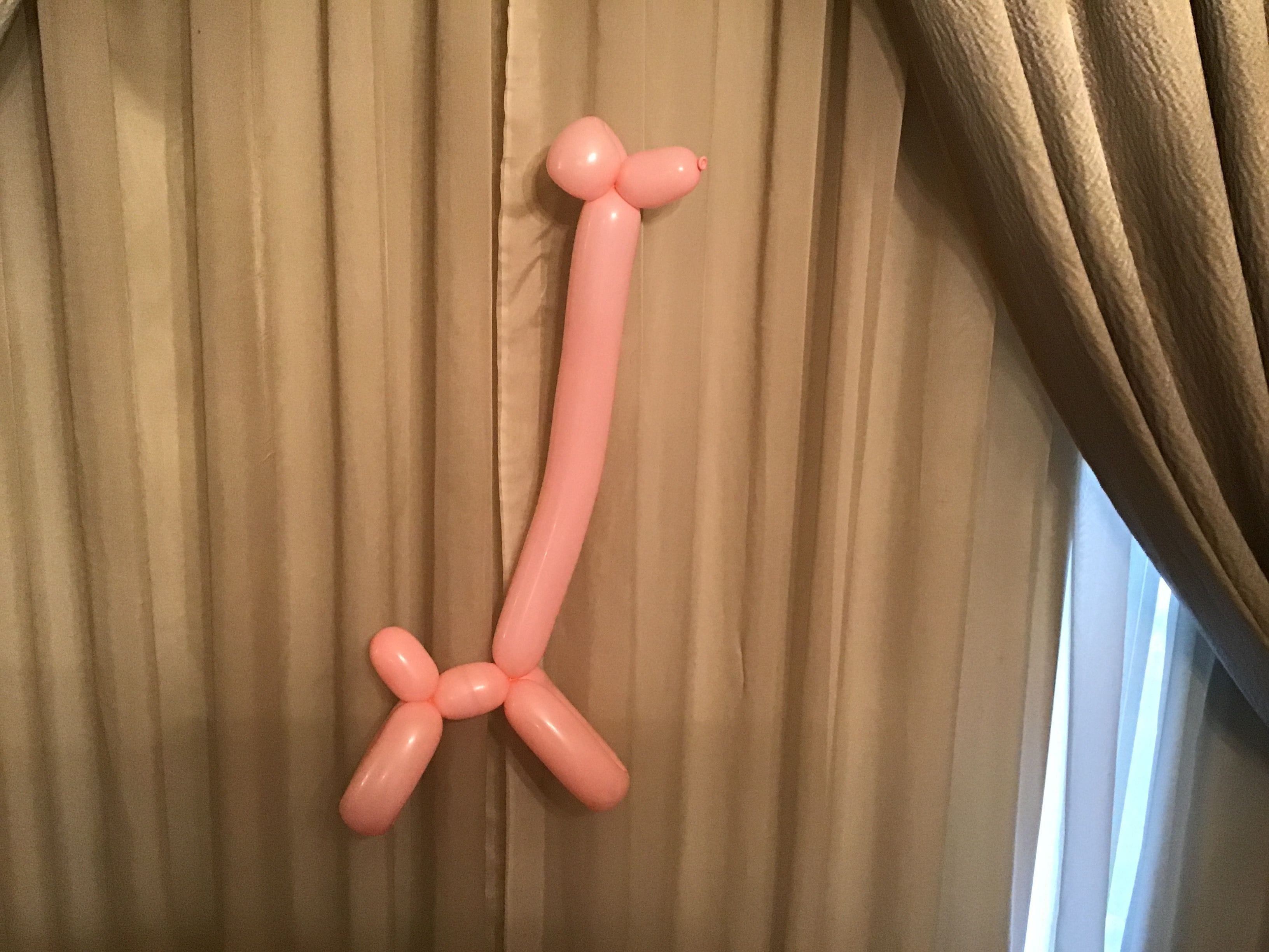 balloon animal giraffe