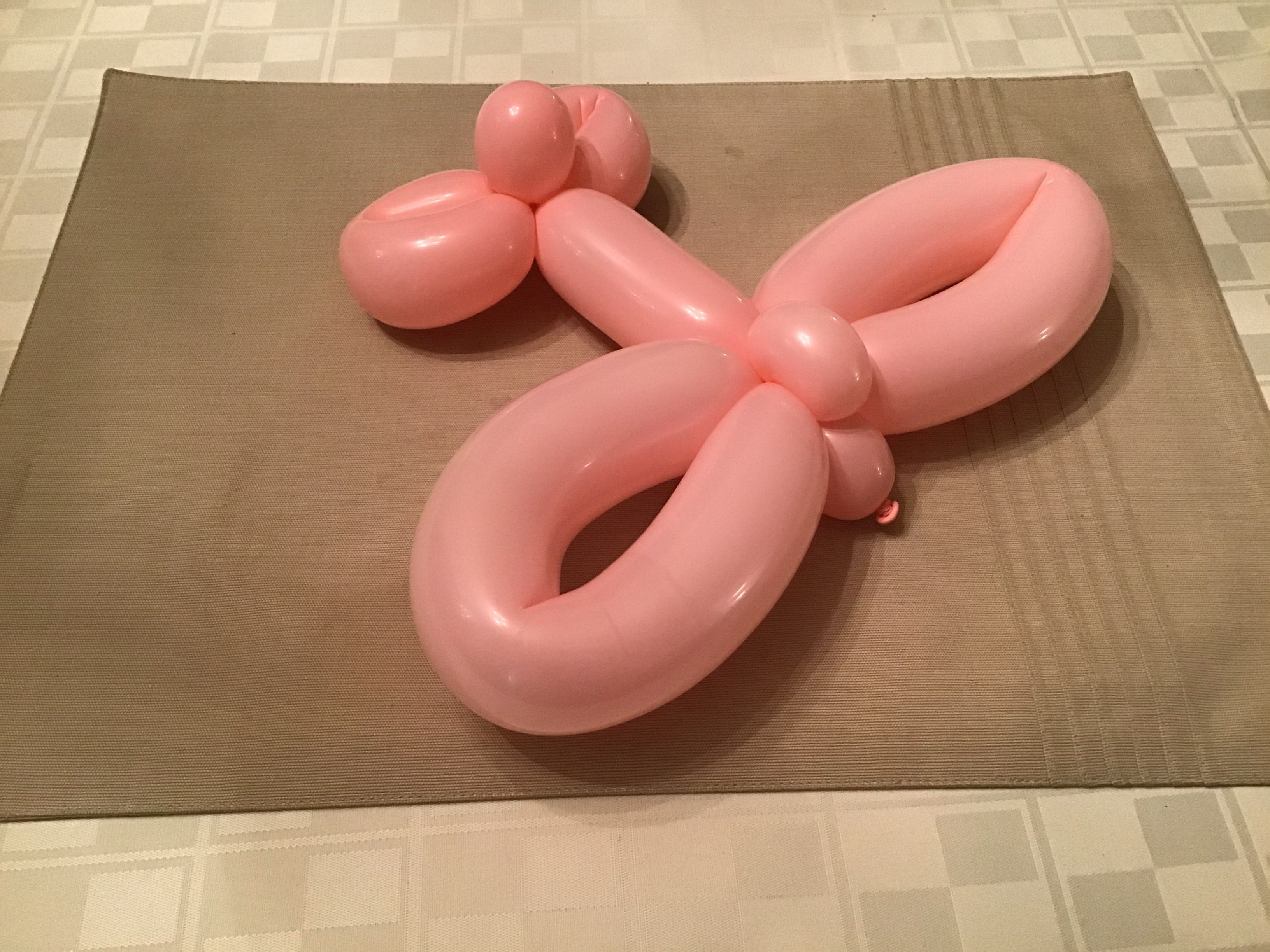 balloon animal airplane