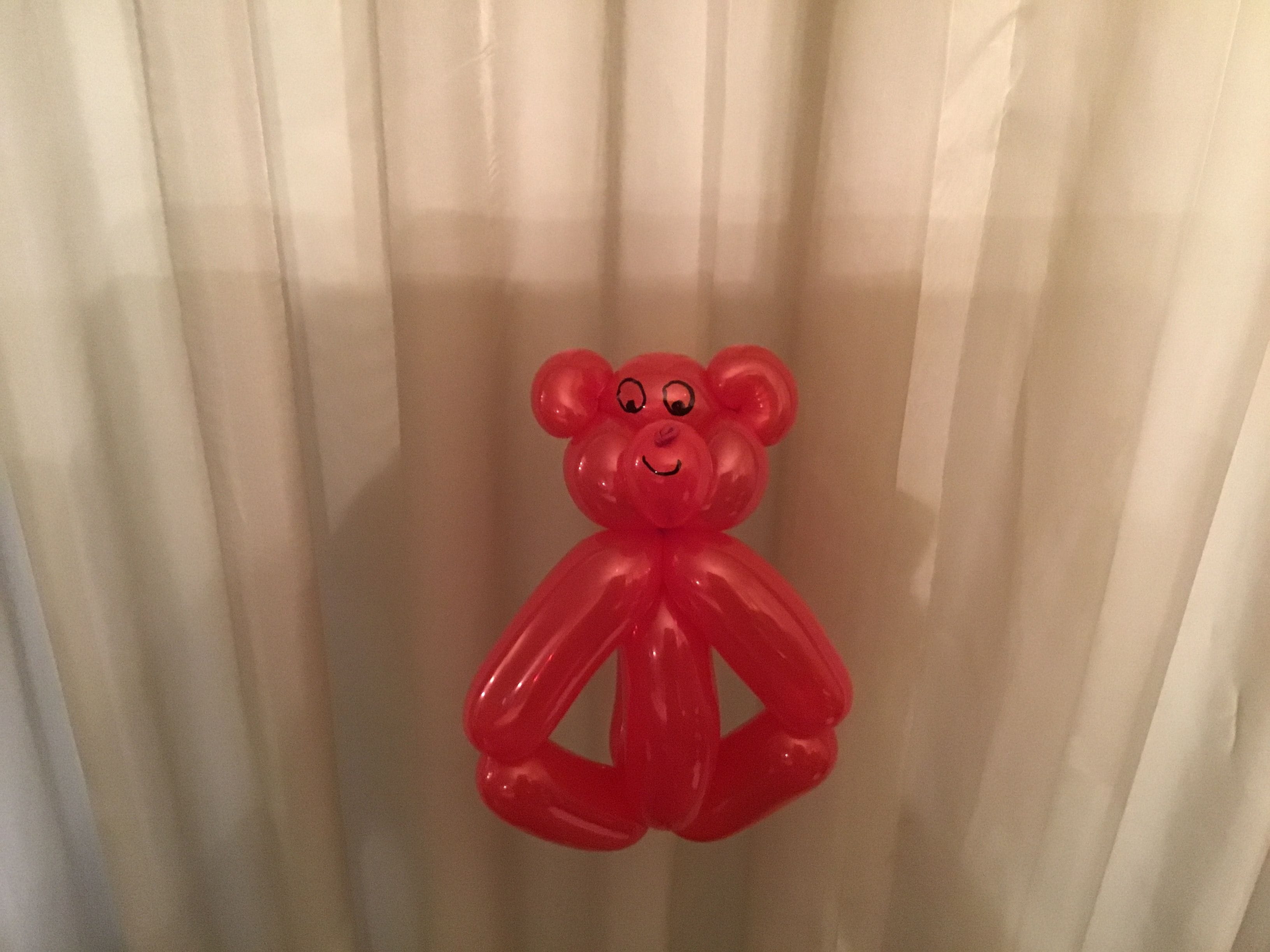 balloon animal teddy bear different color