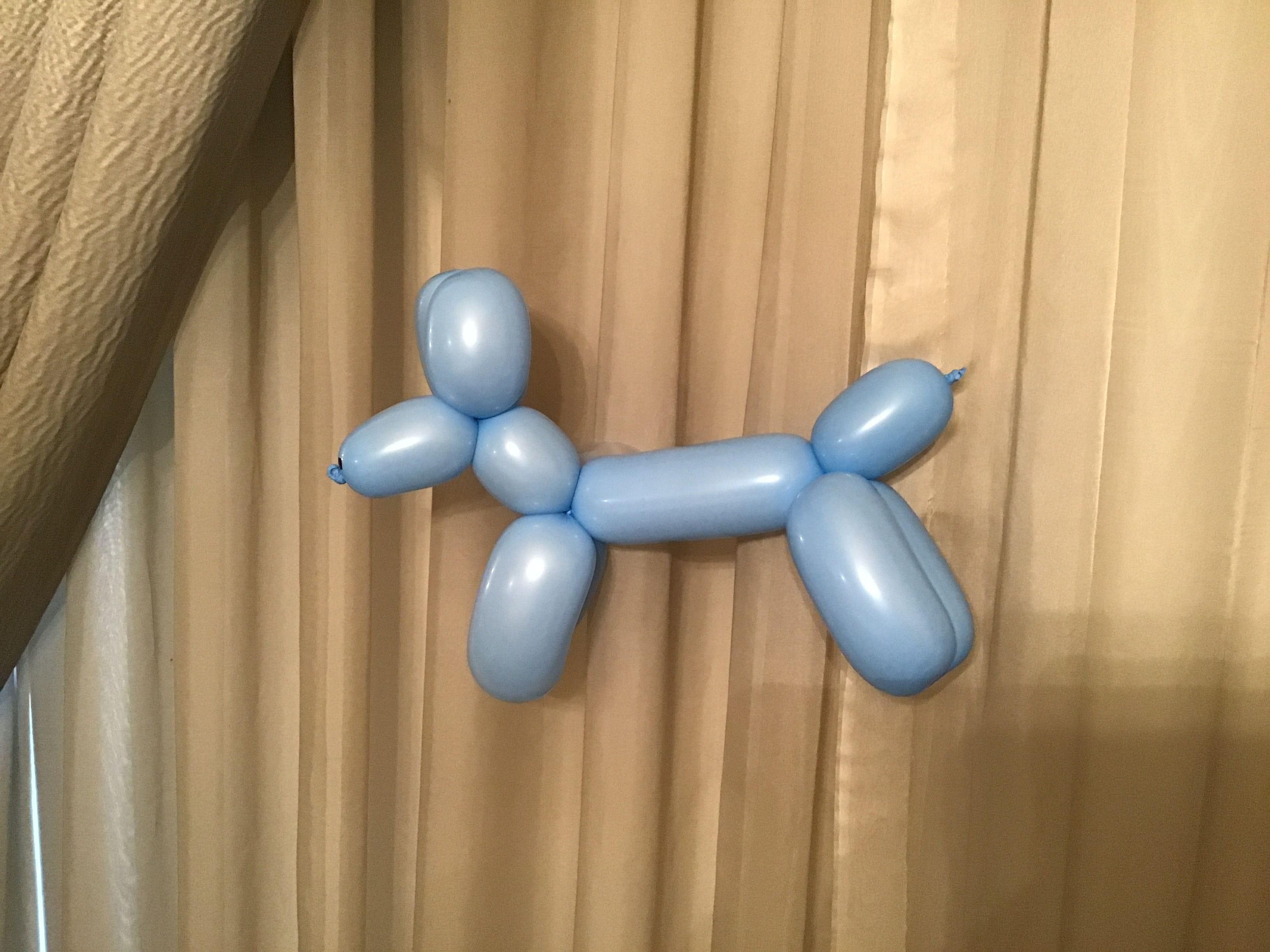 balloon animal dog